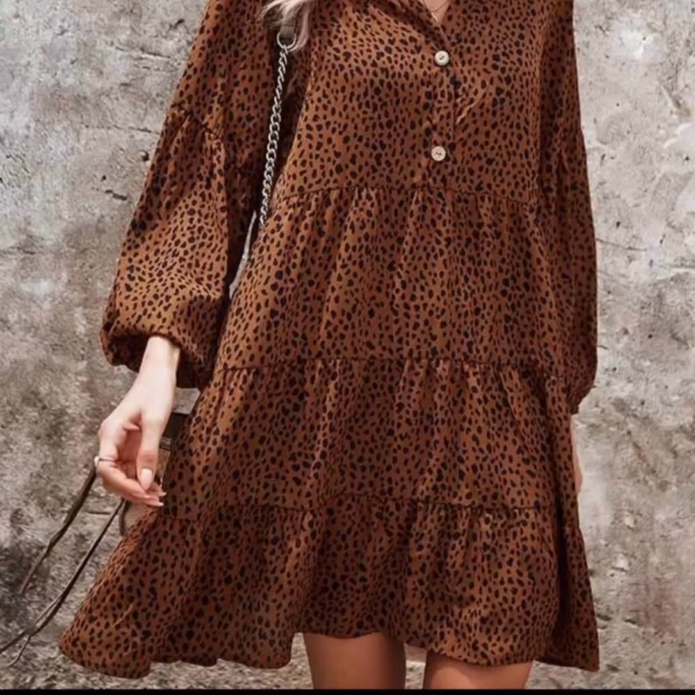 Leopard Print mini dress.